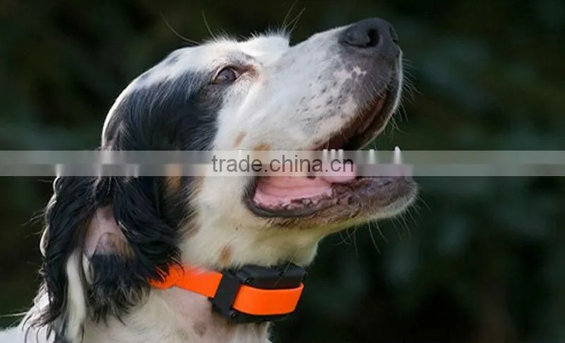 Abrasion resistant TPU hunting dog collar with gun black buckle