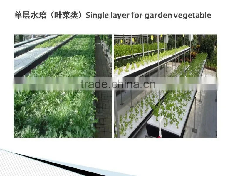 Greenhouse Hydroponics garden for vegetables