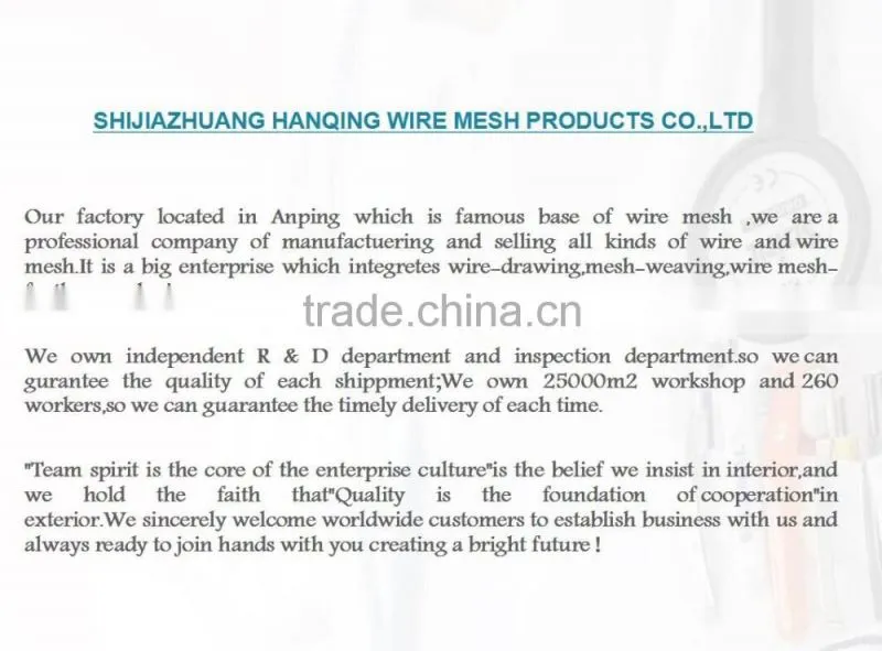 2016 new product China supplier Galvanized Hexagonal Wire Mesh