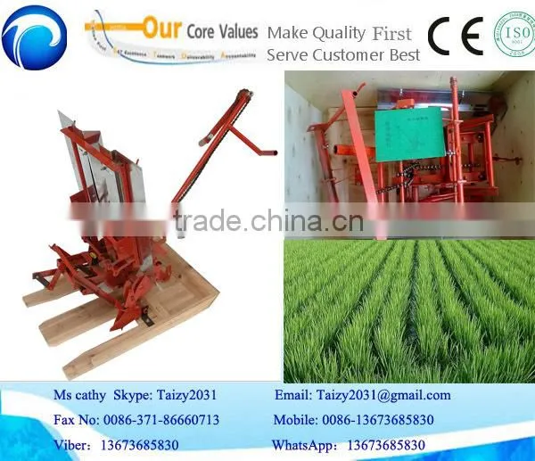 big promotion and popular selling rice transplanter price