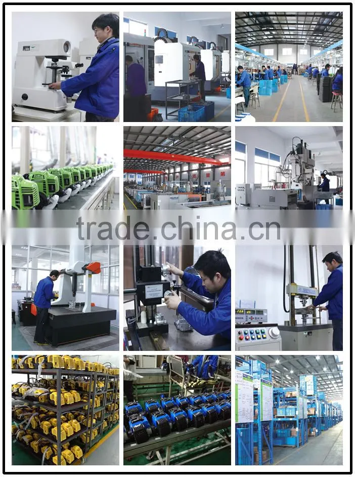 Hot selling Engine Petrol Water Pump 196cc agriculture irrigation water pump