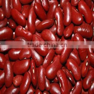 good dry chinese kidney red bean