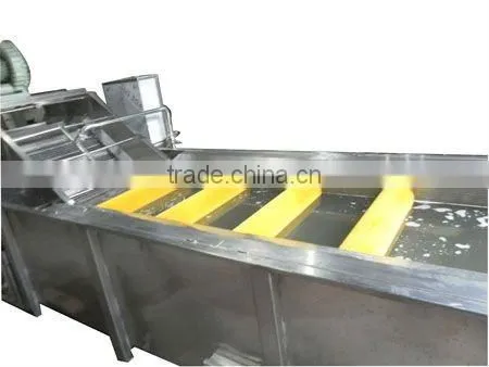 onion washing cleaning machine
