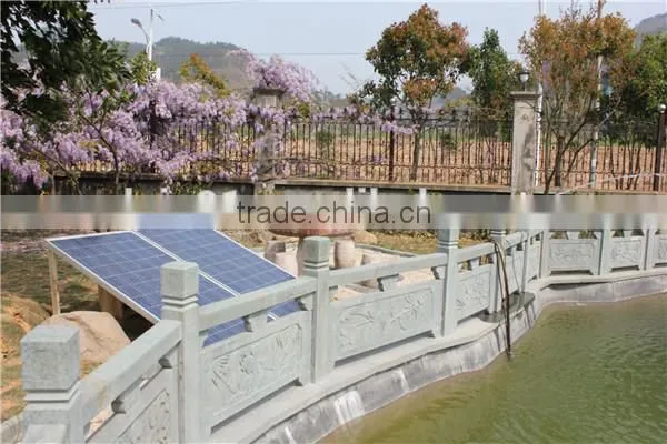 Stainless Steel Solar Pump, Solar Water Pumps for Wells
