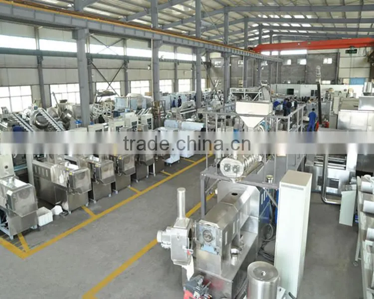 CE ISO new pet food production line dog food production line