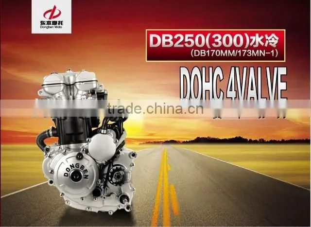 Engine parts for DB250 300cc 4 valve Water-Cooled Dongben engine (173MN-1)