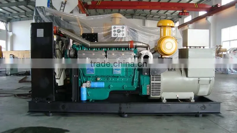 Weifang Styer Series Diesel Generator Output Power 200kw