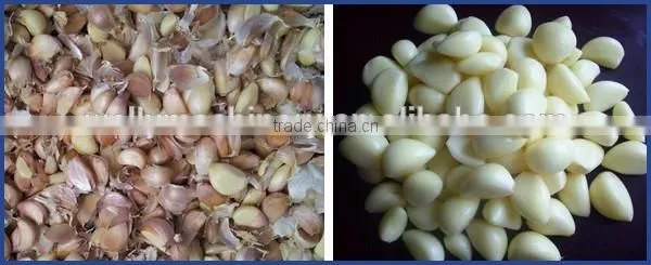 Factory price automatic small garlic peeling machine
