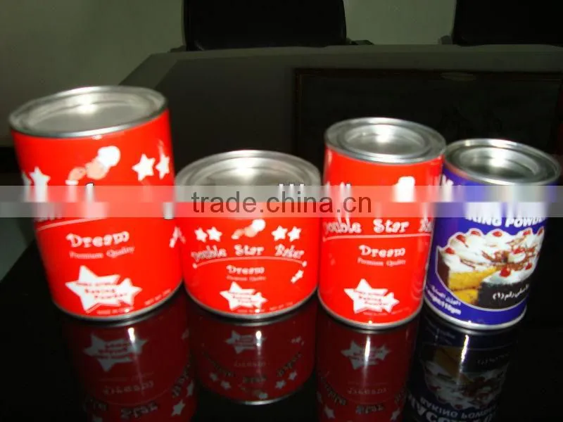 Best Baking Powder 250g*24tins