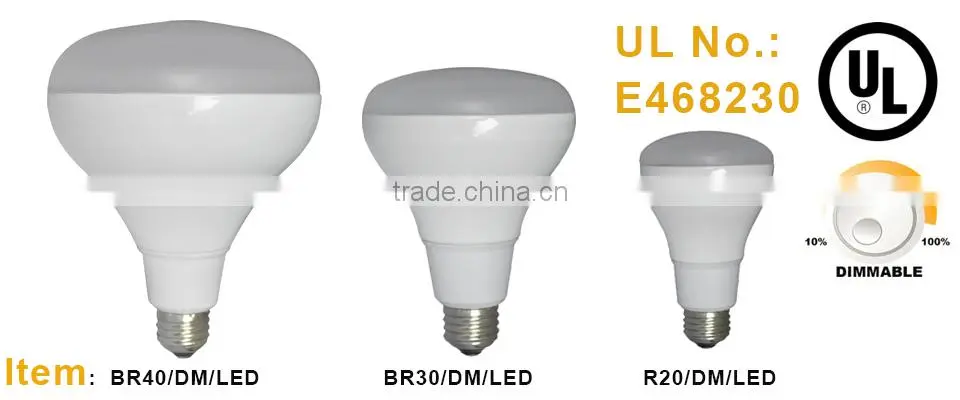 LED BR40