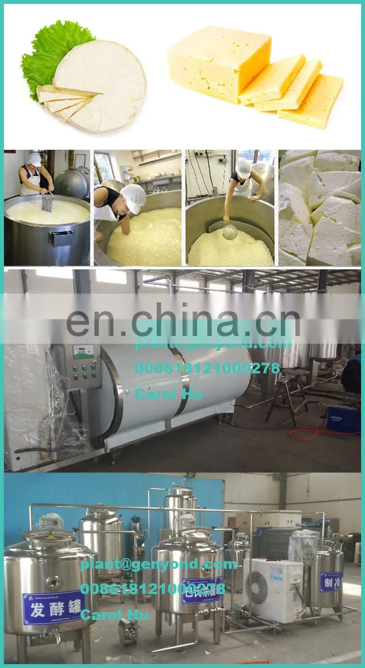 Factory hot sales machine to make cheese