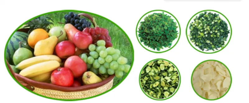 Industrial Commercial Lemon Freeze Dryer for Fruit and Vegetable on Sale Lemon Freeze Dryer
