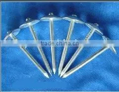 smooth roofing nail