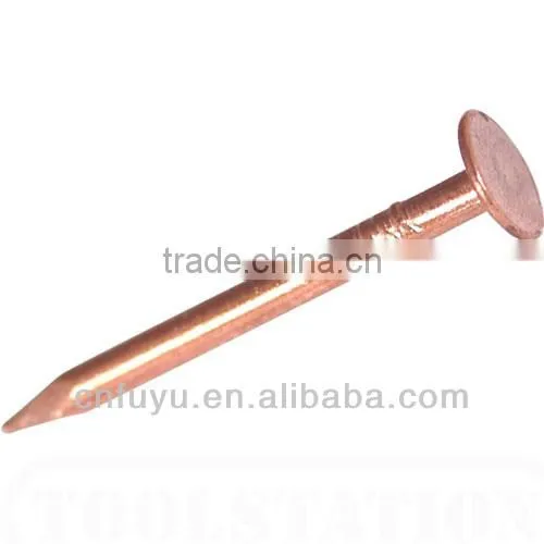 zinc plated clout nail for ceiling factory of linyi shandong