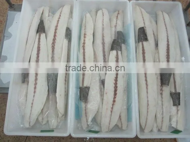 Fresh Frozen Oilfish fillets Hot saleing