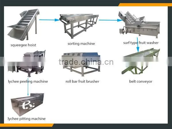 Leader hot sales high quality lychee denucleating machine at a low price