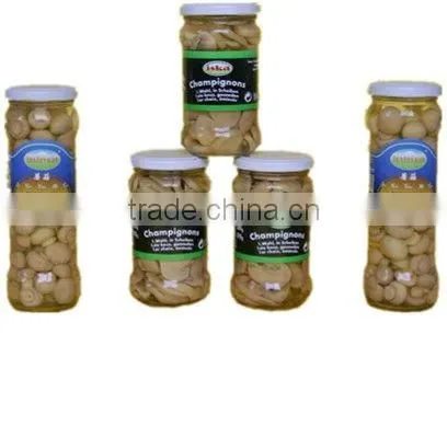 high quality canned whole button mushroom