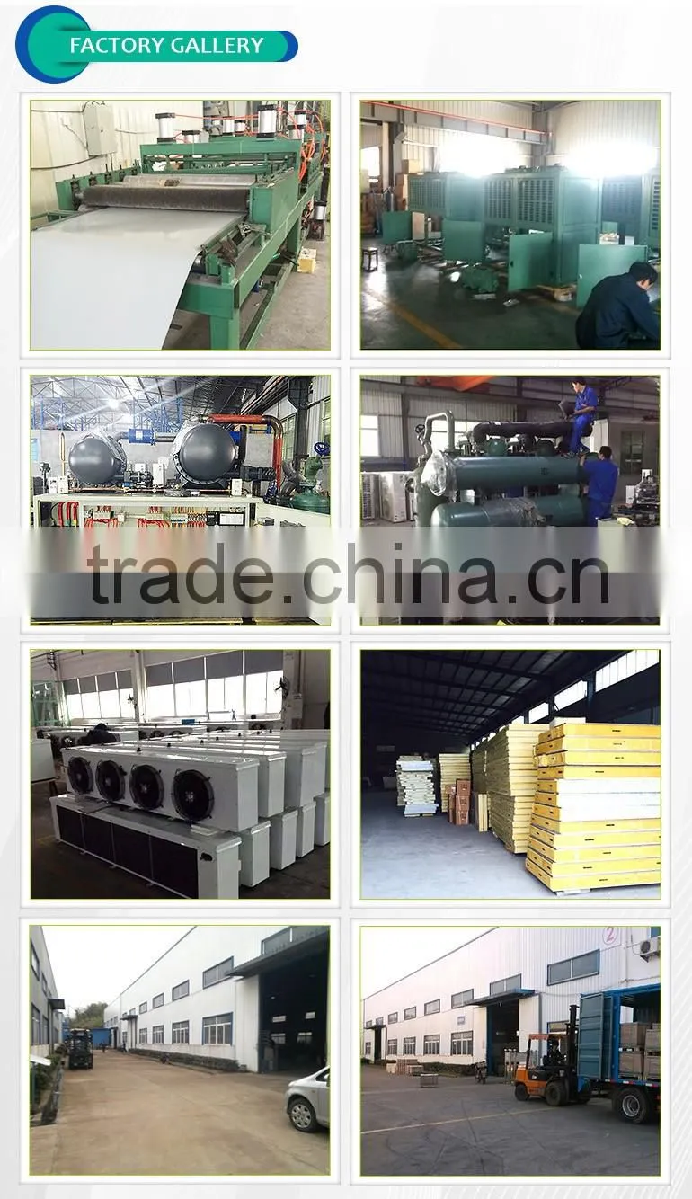 Newly good quality cold room polyurethane sandwich panel