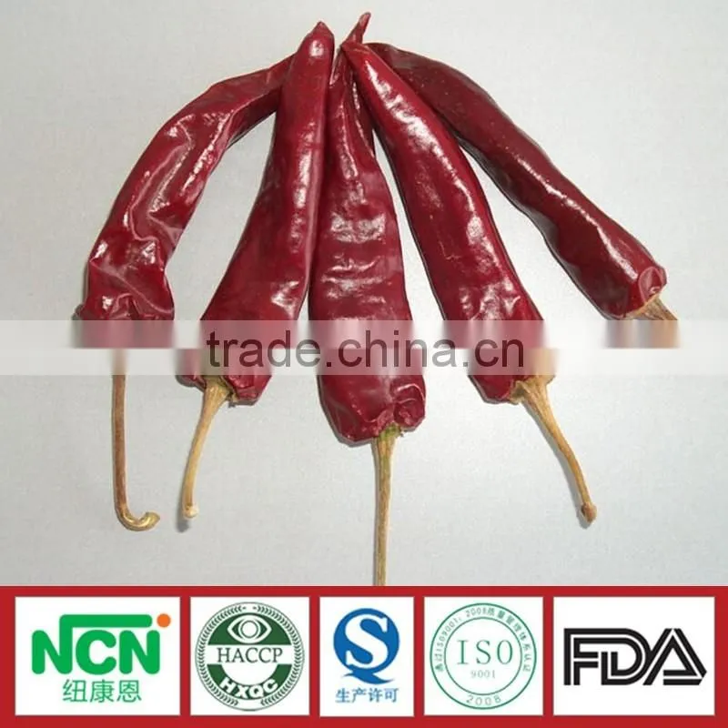 New Crop of Tianying Red Chilli