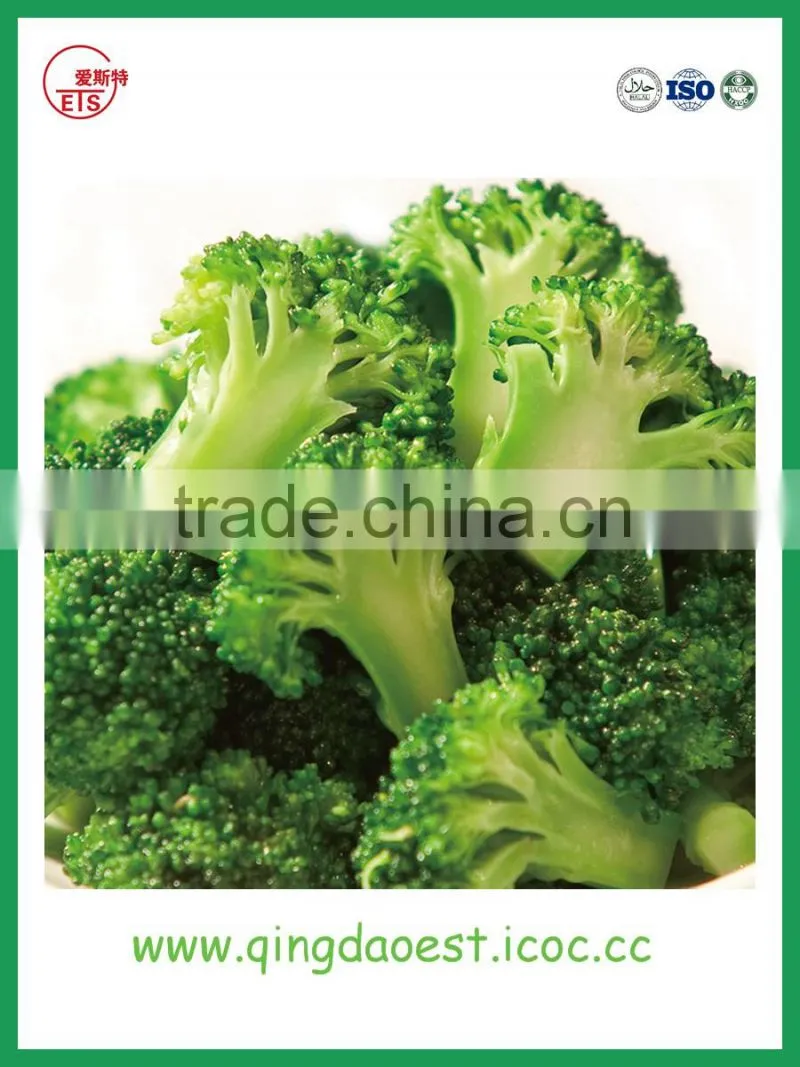 High quality Chinese Fresh Broccoli