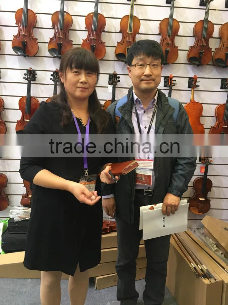 Taixing Triangle Violin Hard Case With Different Color Factory