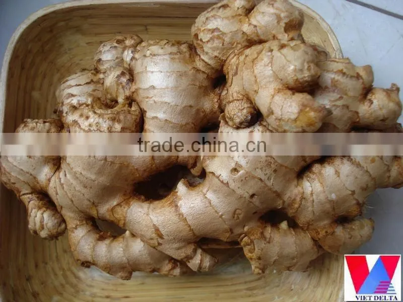 Fresh Ginger Grade 1