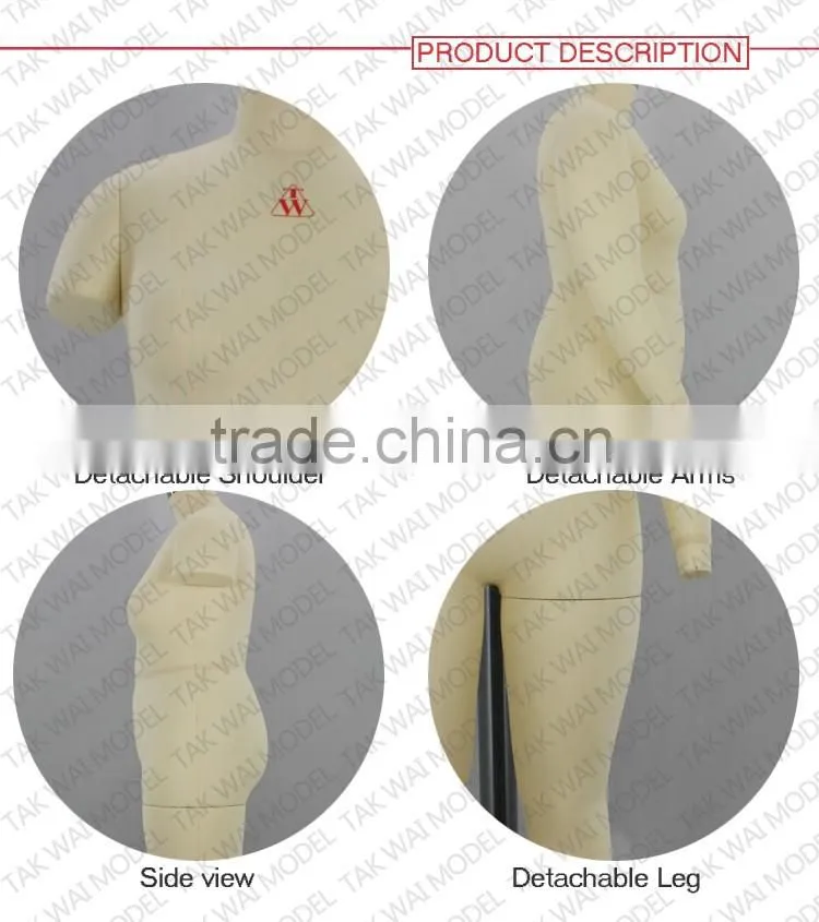 Customized lady large size full body human torso model