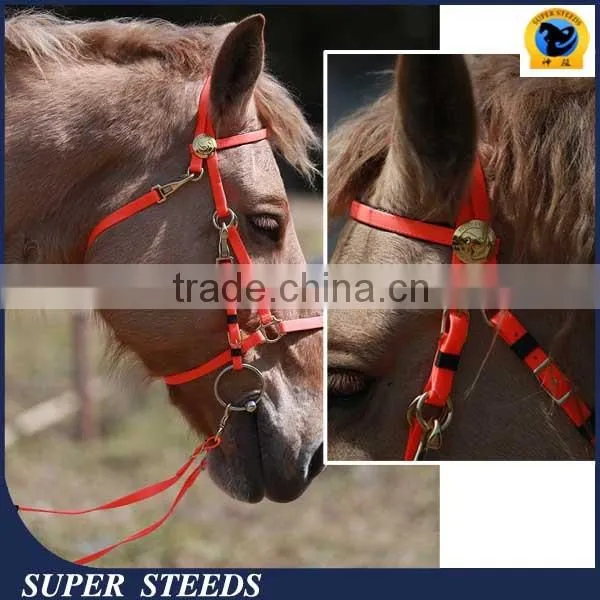 Horse Briddle with raised browband