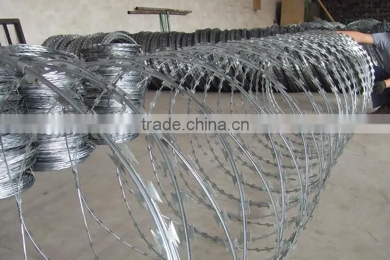 Concertina Razor Wire