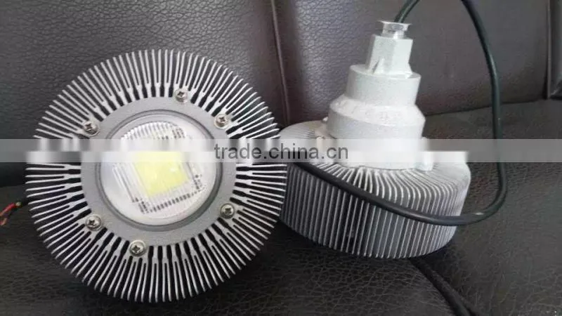 hot sell high efficiency economic LED light for hazardous location WF2