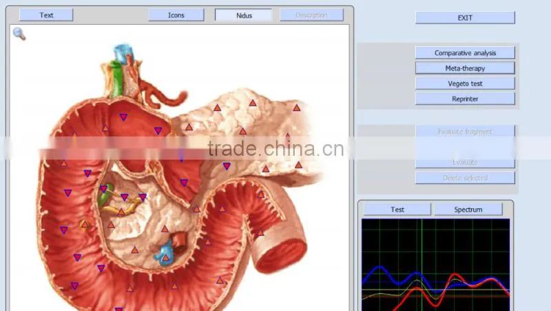 Hot selling 9DNLS quantum magnetic body health analyzer for household