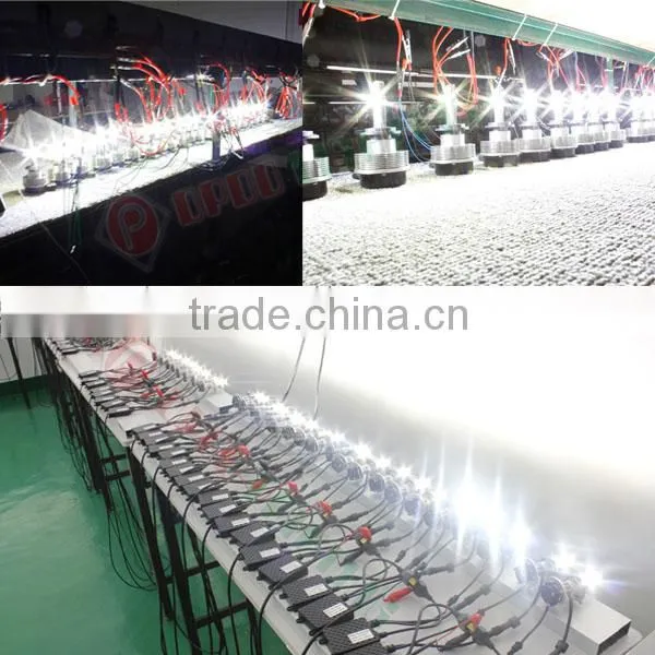 h7 led high lumen, All in one 2000lm 20w Cree h7 led high lumen
