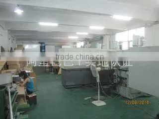Shenzhen Royal Mold Ltd. company overview - view 1