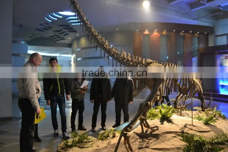 VGD-573 Simulation dinosaur fiberglass dinosaur egg statues