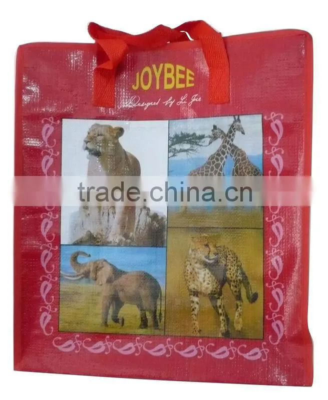 pp zipper shopping bag with nylon handle pvc binding(2W-2043)