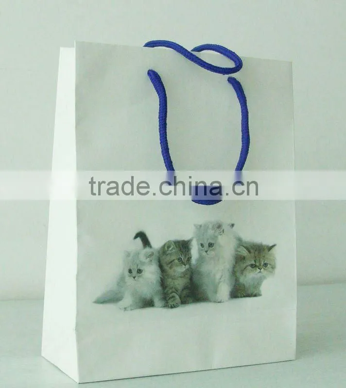 paper apparel bag for clothes