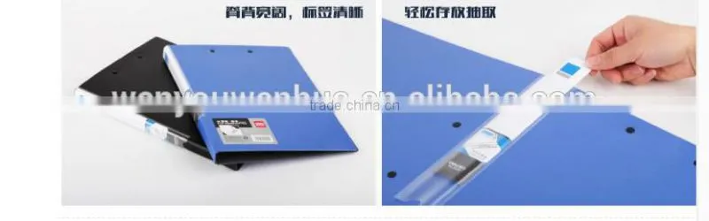 Deli Strong Metallic color folder , , A4 folder model 5425