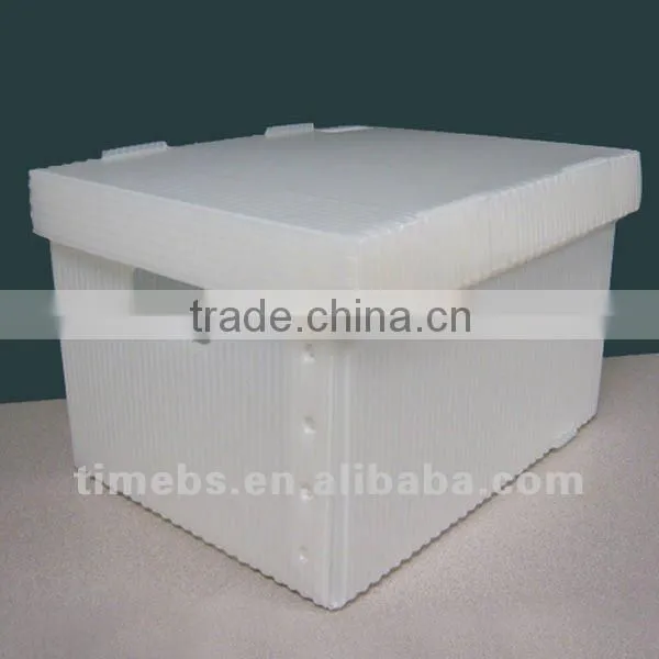Corrugated plastic shoe box
