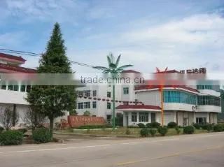 Dongyang City Jiayou Plastic Co., Ltd. Zhejiang company overview - view 3
