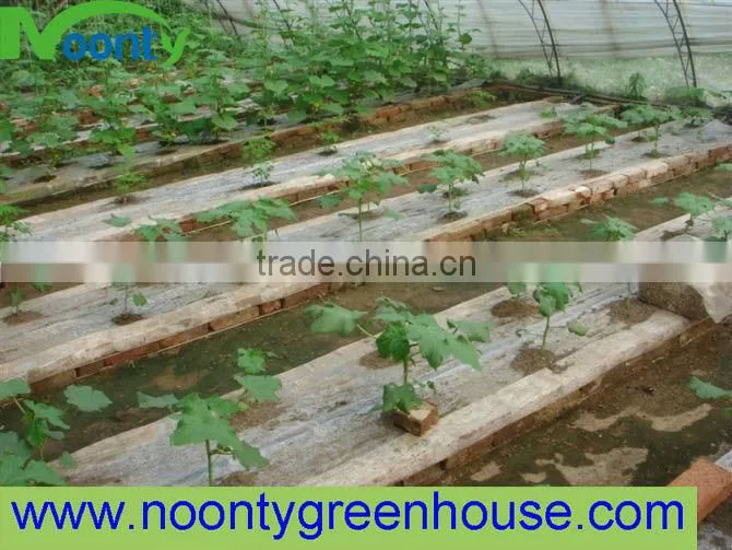 Industrial Greenhouse