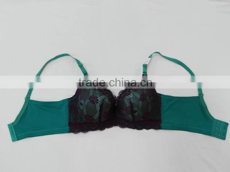 Free Sample Push Up Thick Pad Very Sexy Floral Lace Bra
