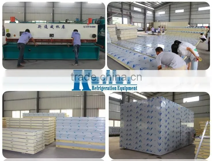 Hot sale deep freezer 30CBM cold storage room with new technology for fish VCR30