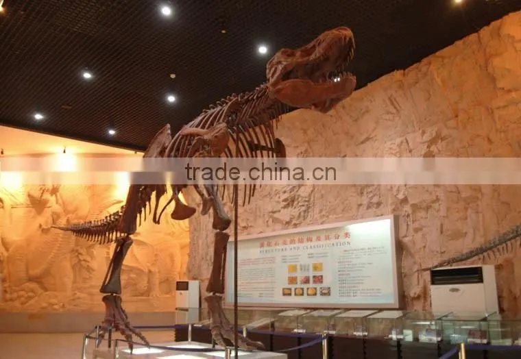 Life Size 13m t-rex dinosaur fossil