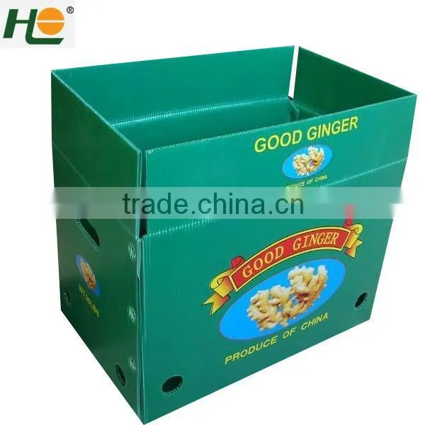 Recycled pp anti-static Industry Packaging Box