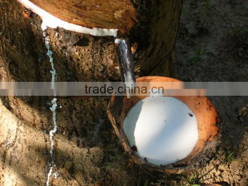 4cm Brown natural Elastic Rubber Band / Promotional Customized Latex rubber band for packaging and vegetable