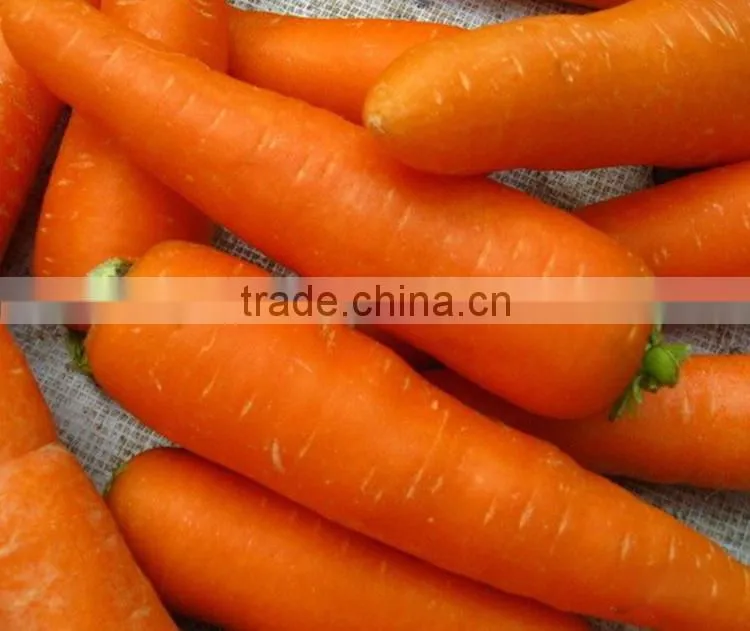 fresh preserved carrots