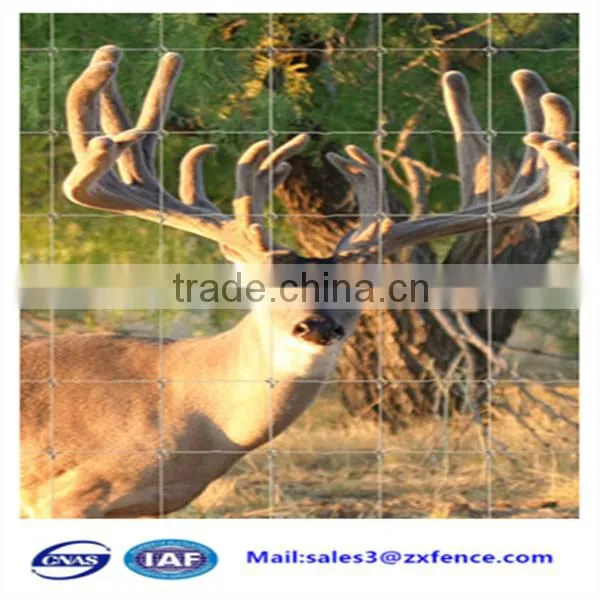 Factory direct cheap heavy duty sheep fence,horse fence,cattle fence