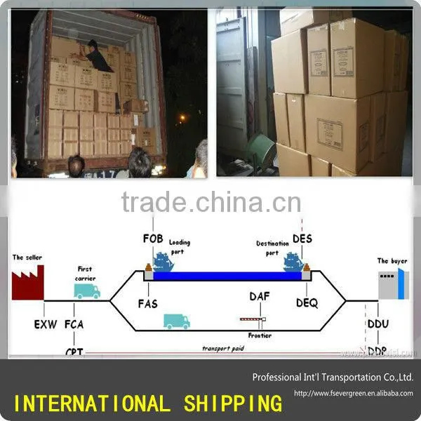 Sea Freight For Foshan Ceramic Tiles Container Sea Transportation