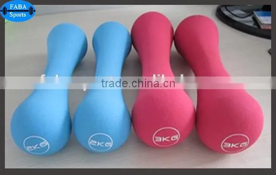 Fashion Colorful Fitness Dumbbell Color Vinyl Coated Dumbbell