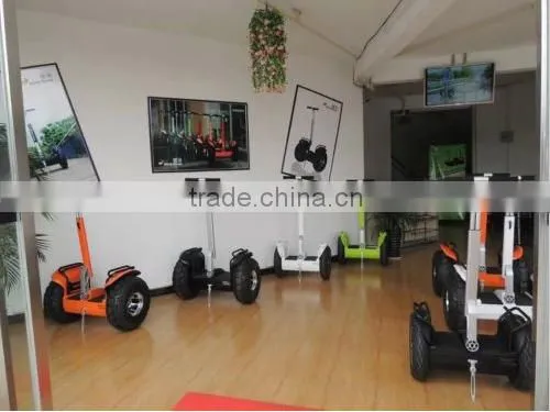 Harley 1000W adult electric motorcycle smart balance scooter citycoco